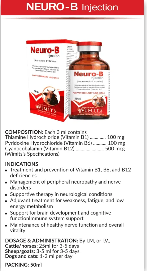 NEURO-B Injection-Each 3ml contains: Thiamine Hydrochloride (Vitamin B1)....100mg    Pyridoxine Hydrochloride (Vitamin B6)....100mg   Cyanocobalamin (Vitamin B12)....500mcg  (Wimits Specification) – Wimits Pharmaceuticals