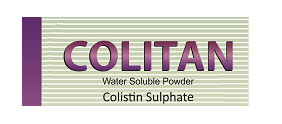 Colitan Powder