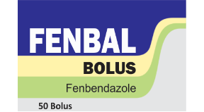 Fenbal Bolus