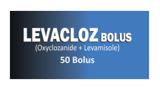 Levacloz Bolus