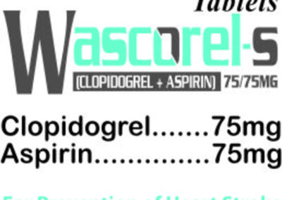 WASCOREL-S